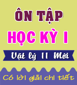 Ôn tập Học kỳ I (KNTT_11)